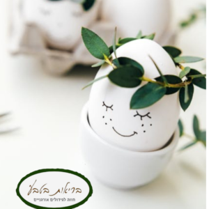 ביצים אורגניות מתרנגולות מרעה eggs from free-range chickens (חב') - תבנית 12 ביצים -בקנייה 4 תבניות (26.30שח )- הטבה למתכון הפלאן מהמשק - מעל קנייה 180 שח