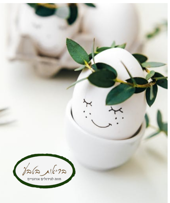 ביצים מתרנגולות מירעה eggs from free-range chickens (חב') תבנית 12 -בקנייה 2 תבניות (29.75שח לתבנית )-הטבה למתכון הפלאן מהמשק